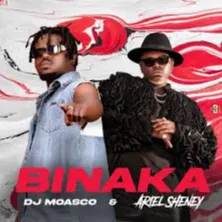 BINAKA feat. Ariel Sheney