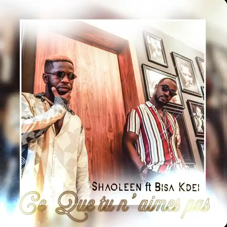 Ce que tu n'aimes pas Feat Bisa Kdei