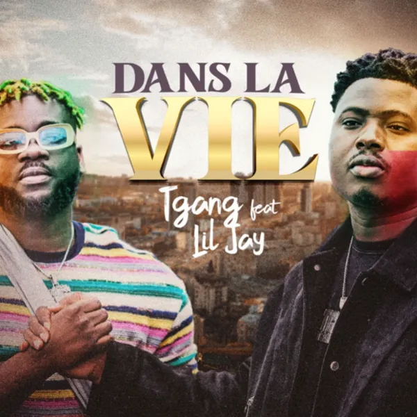 Dans la vie feat Lil Jay