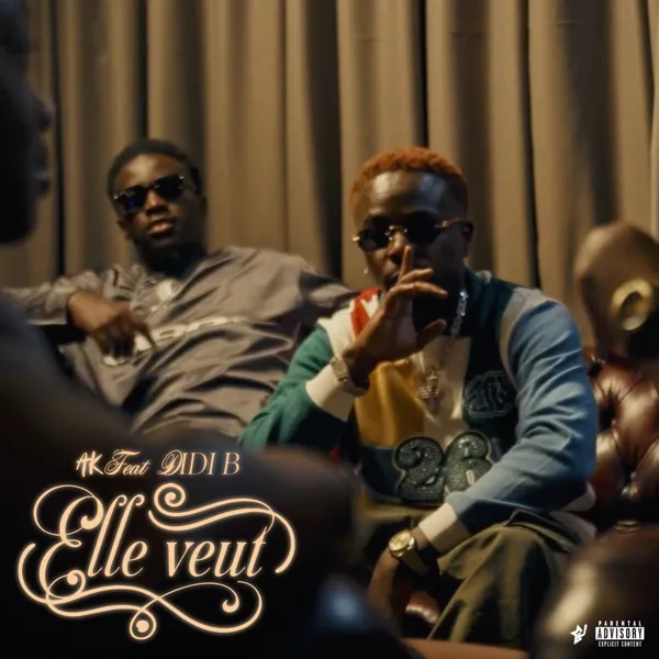 Elle Veut Feat DIDI B