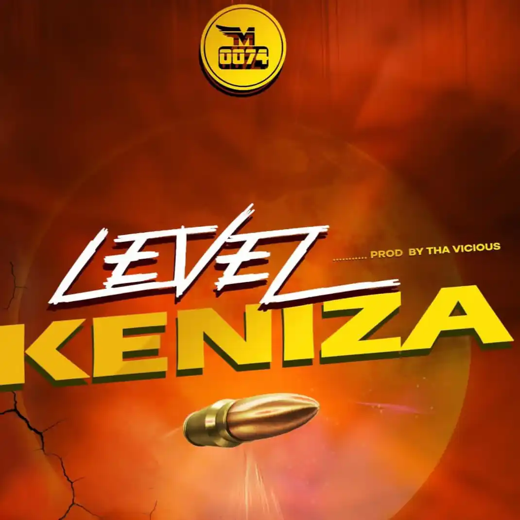 LEVEL