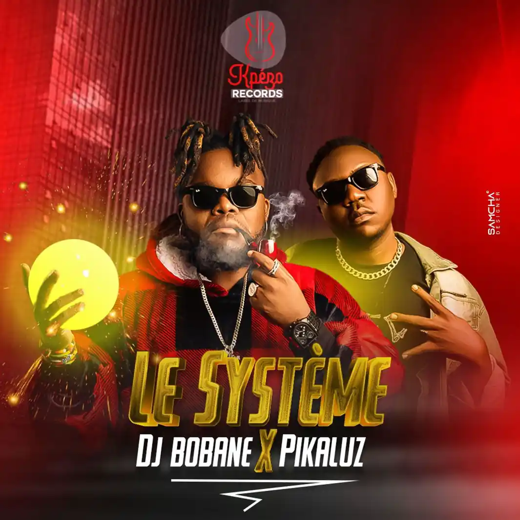 Le Système Feat Pikaluz