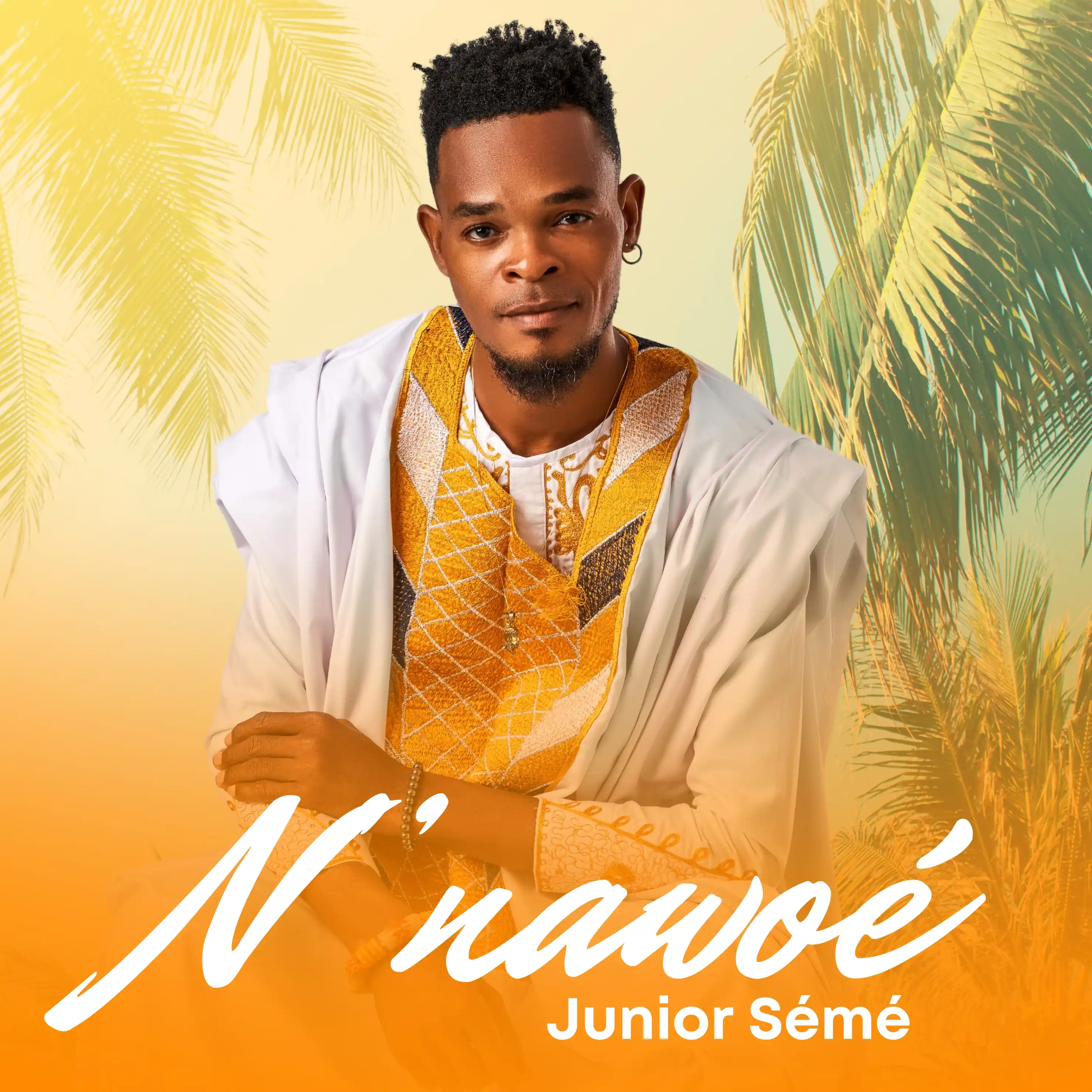 N'NAWOE (Qu'as-tu vu ?)