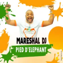 Pied d'éléphant