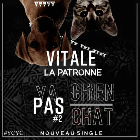 Ya pas chien ya pas chat